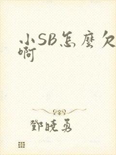 小SB怎么欠C啊