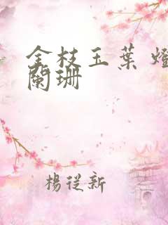 金枝玉叶 灯火阑珊