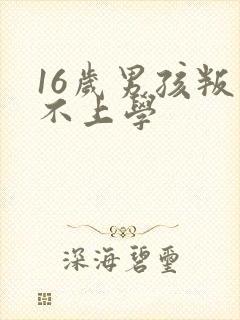 16岁男孩叛逆不上学