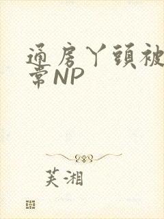 通房丫头被肉日常NP