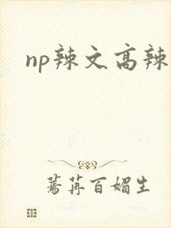 np辣文高辣