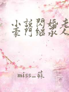 小说闪婚老公是豪门继承人