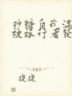 砂糖自我满足时被旅行者发现小说