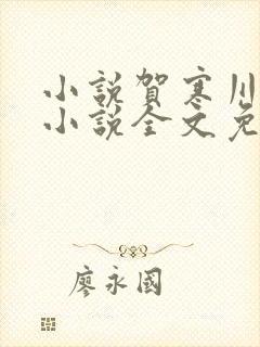 小说贺寒川向晚小说全文免费阅读