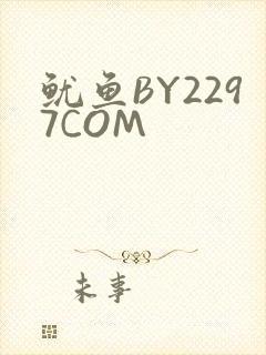 鱿鱼BY2297COM