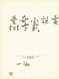 爱奇小说电子书txt下载