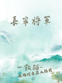 长宁将军