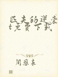 匹夫的逆袭txt免费下载