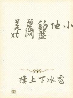 美丽的他小说txt 网盘