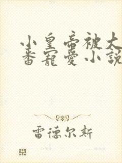 小皇帝被大臣轮番宠爱小说