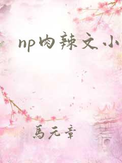 np肉辣文小说