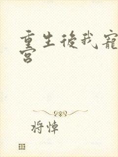 重生后我宠冠东宫