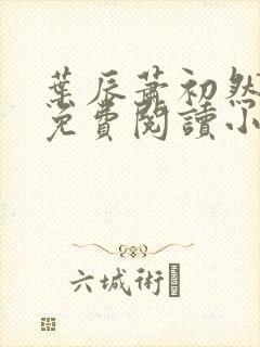 叶辰萧初然全文免费阅读小说最新章节