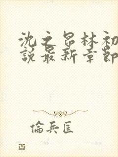 沈之昂林初窈小说最新章节免费阅读