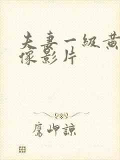 夫妻一级黄色录像影片