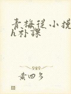 青梅从小摸到大h补课