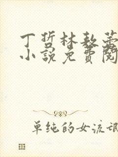 丁哲林敖蕾主角小说免费阅读笔趣