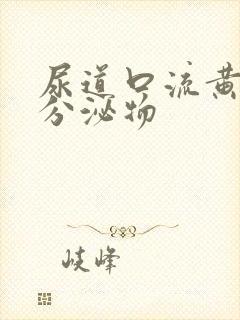 尿道口流黄色性分泌物