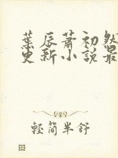叶辰萧初然最快更新小说最新