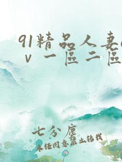 91精品人妻aⅴ一区二区