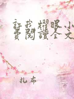 许我耀眼小说免费阅读全文最新章节