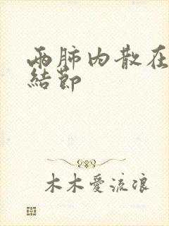 两肺内散在微小结节