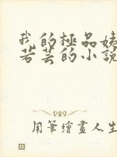 我的极品姨妈柳若芸的小说在线