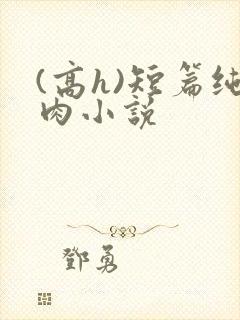 (高h)短篇纯肉小说
