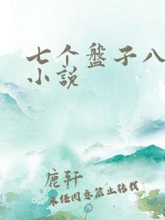 七个盘子八个碗小说
