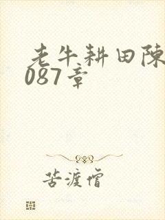 老牛耕田陈雪1087章
