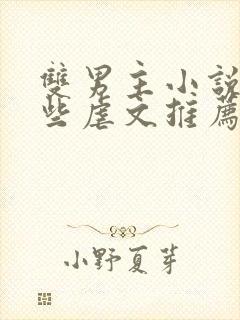 双男主小说有那些虐文推荐