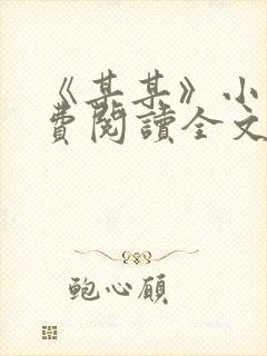 《某某》小说免费阅读全文