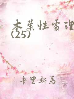 木叶性处理医院(25)