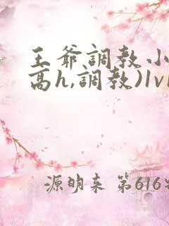 王爷调教小说(高h,调教)1v1