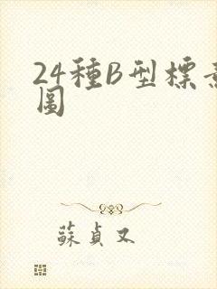 24种B型标意图
