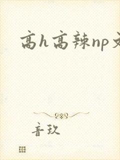 高h高辣np文