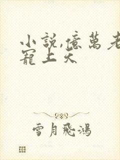 小说,亿万老公宠上天