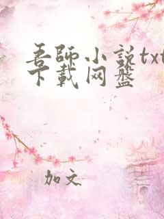 吾师小说txt下载网盘