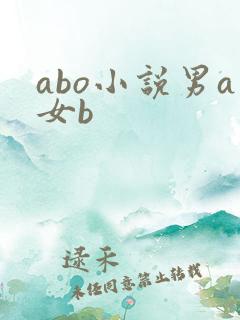 abo小说男a女b
