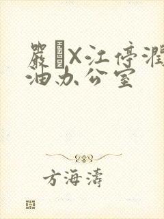 严峫X江停润滑油办公室