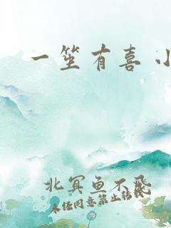 一笙有喜 小说
