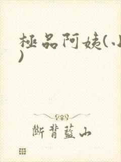 极品阿姨(小说)