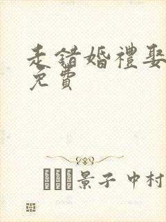 走错婚礼娶对妻免费