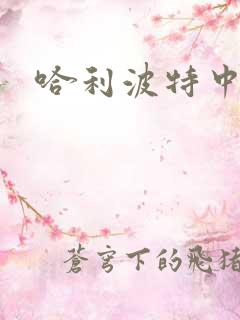 哈利波特中文版