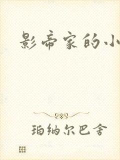 影帝家的小厨娘