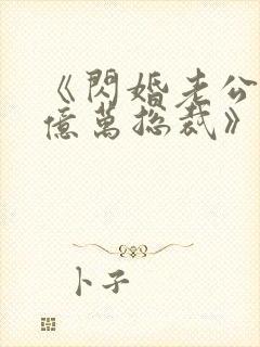 《闪婚老公竟是亿万总裁》小说