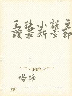 王扶小说免费阅读最新章节无弹窗