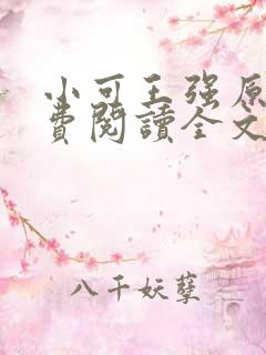 小可王强原文免费阅读全文