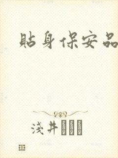 贴身保安品书网