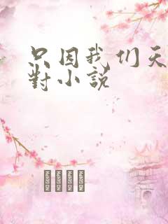 只因我们天生一对小说